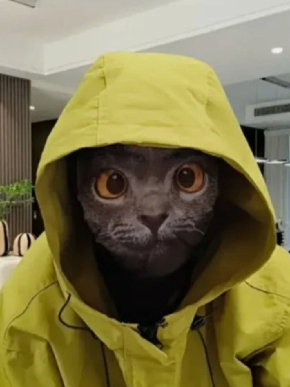 Halloween Cat Mask Breathable Mesh Costume Cosplay Party Accessory